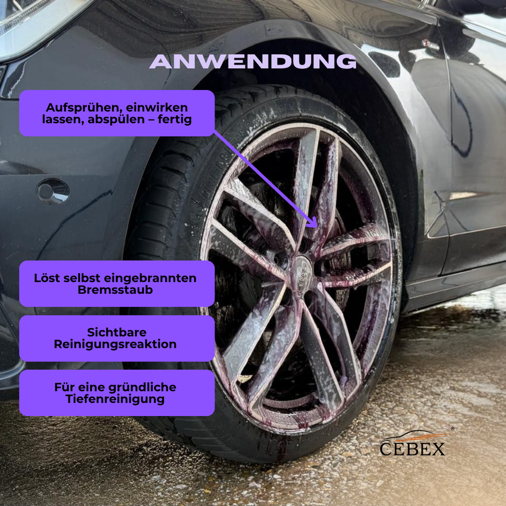 F1 Felgenreiniger